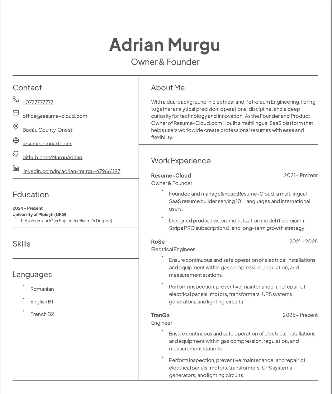 Previzualizare șablon CV